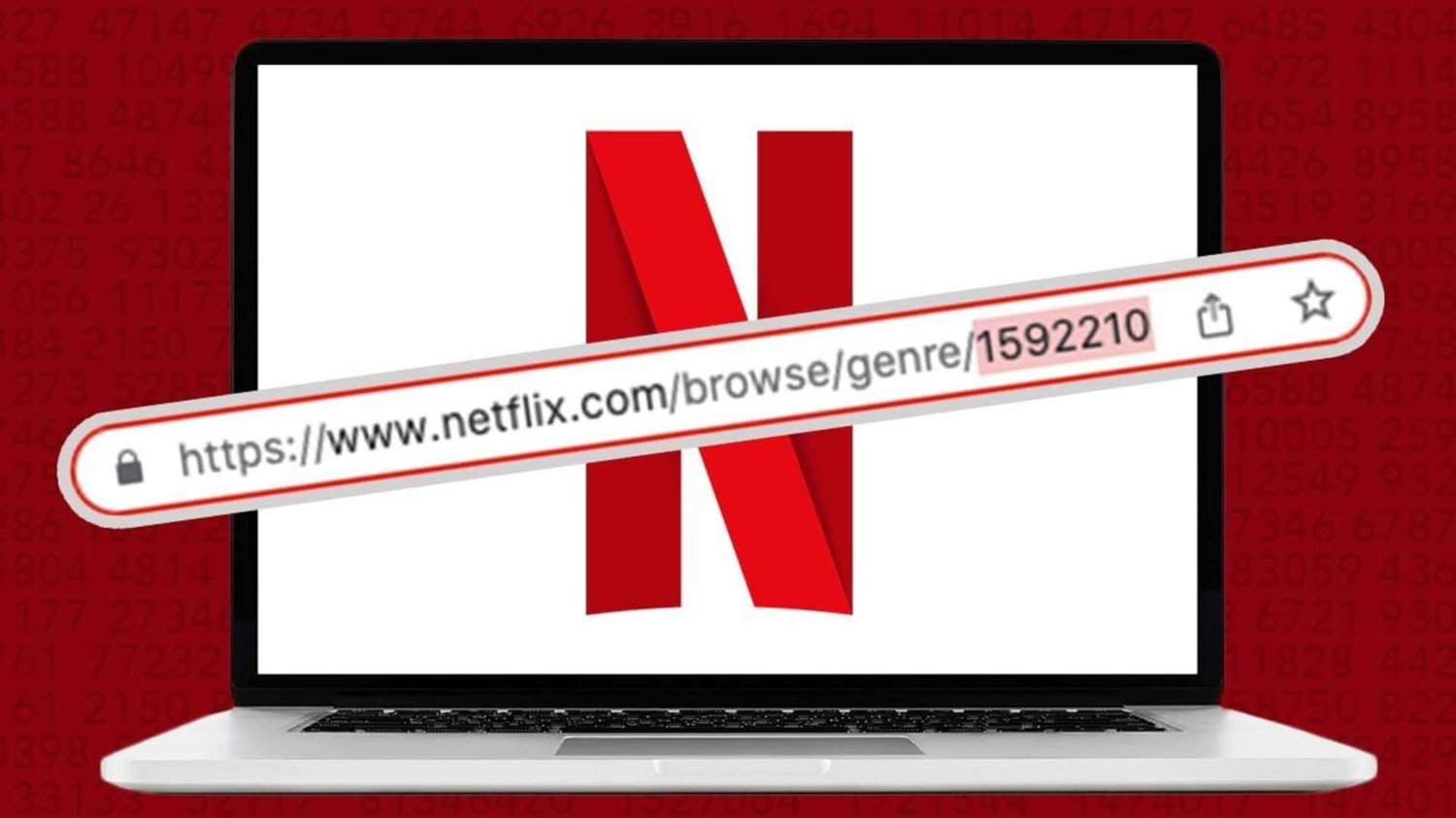How to Use Netflix Codes