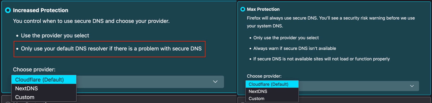 use the selected DNS server