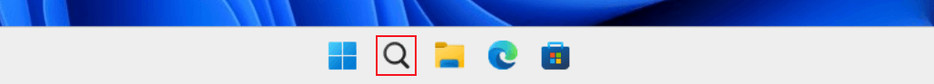 magnifying glass icon