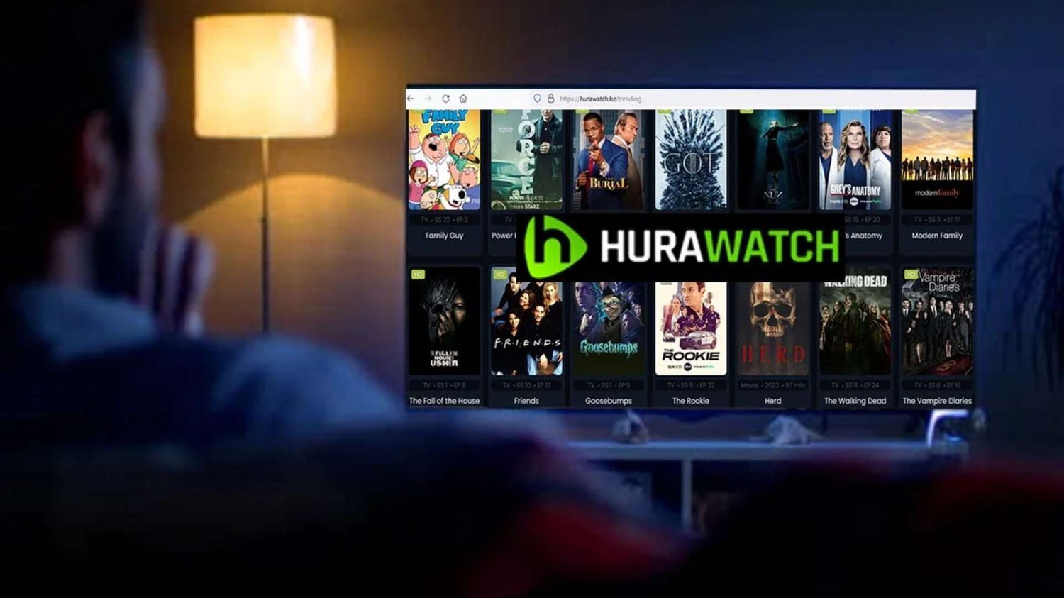 What is Hurawatch