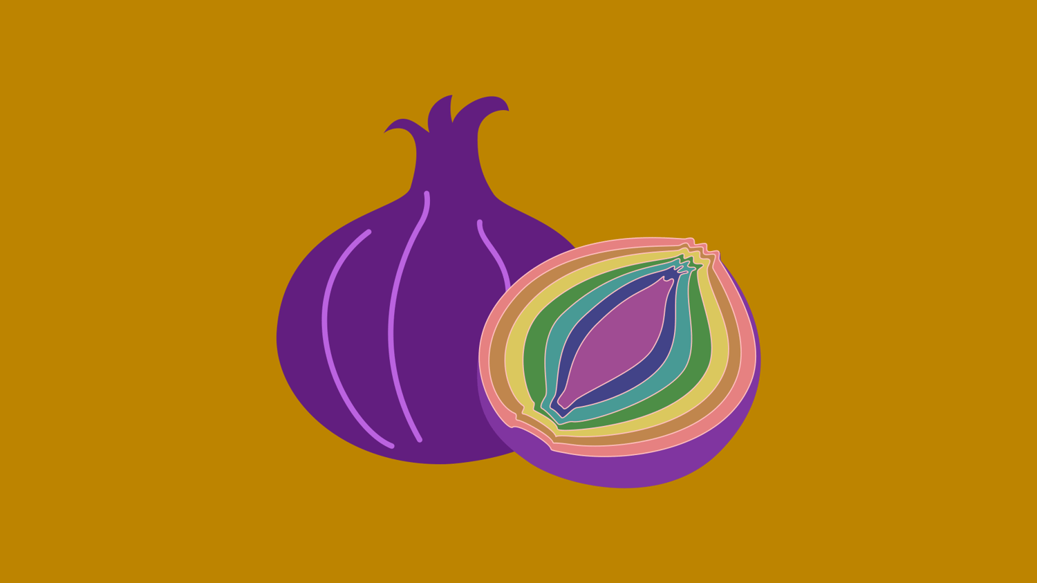 What is Tor and Tor browser?