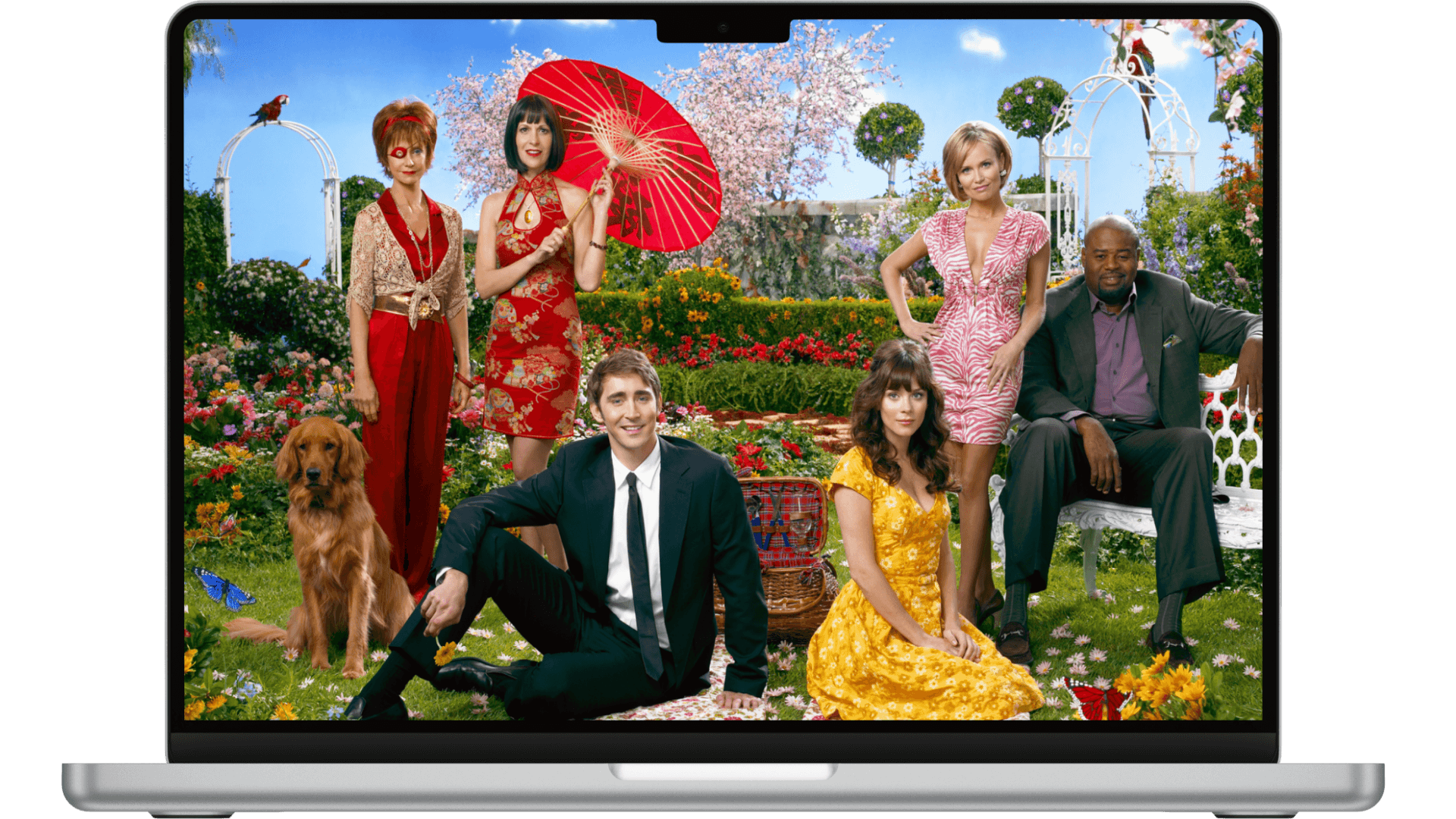 pushing daisies