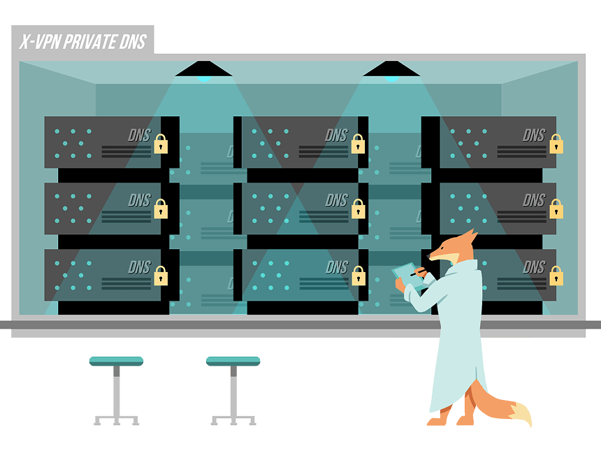 Why Choose X-VPN with Private DNS