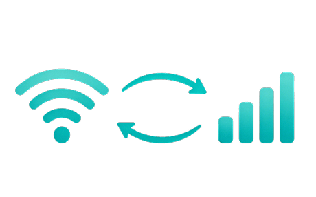 Mobile Network Switching