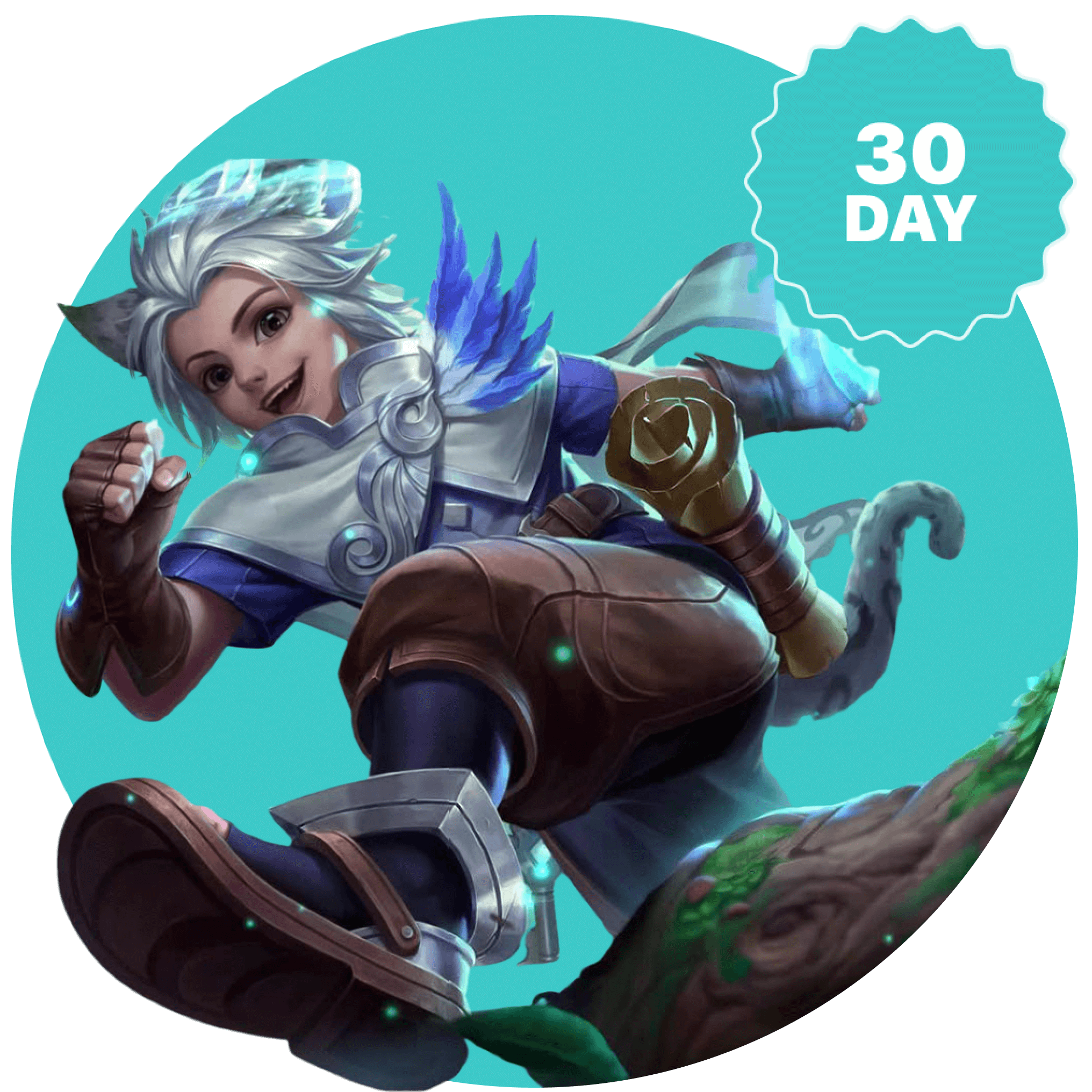 Try mobile legends VPN with 30-day money back guarantee
