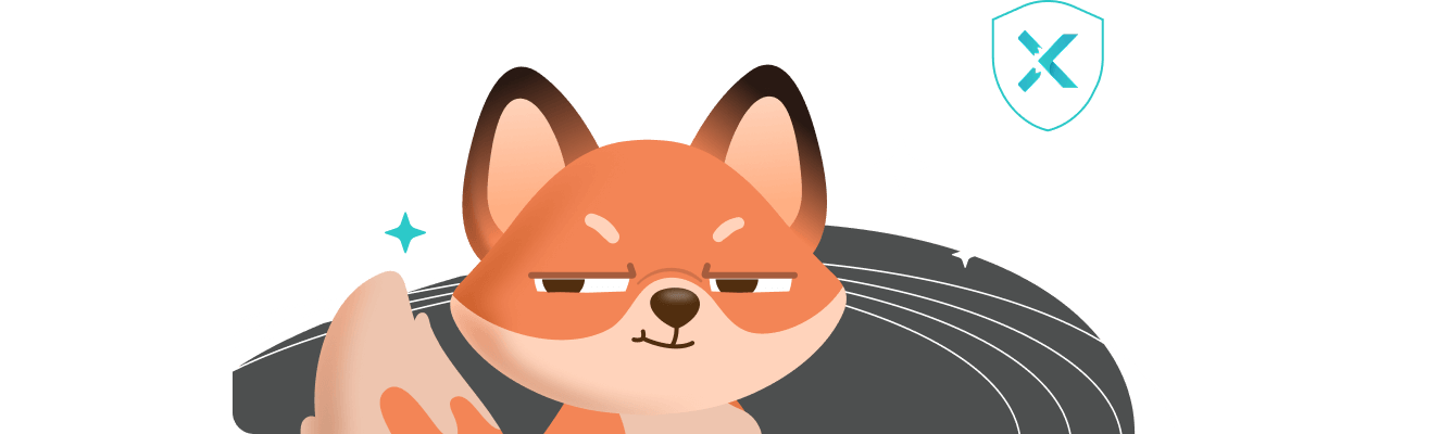 X-VPN Starts from 2017